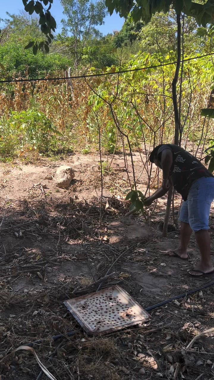 @Adão Oficial