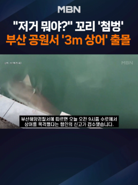 @MBN NEWS