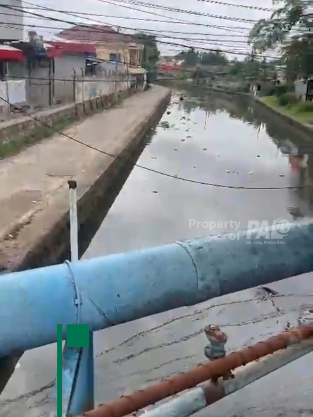 @Paltv-Memang Punyo Kito