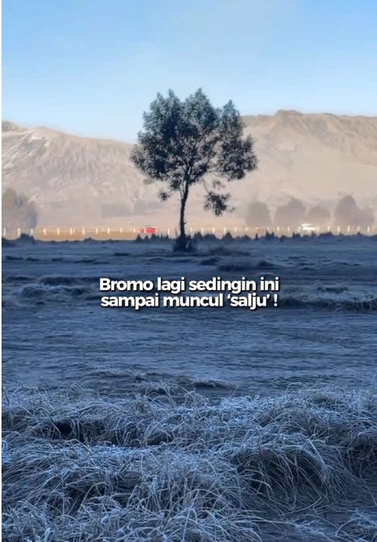 @BROMOPROJECT.ID
