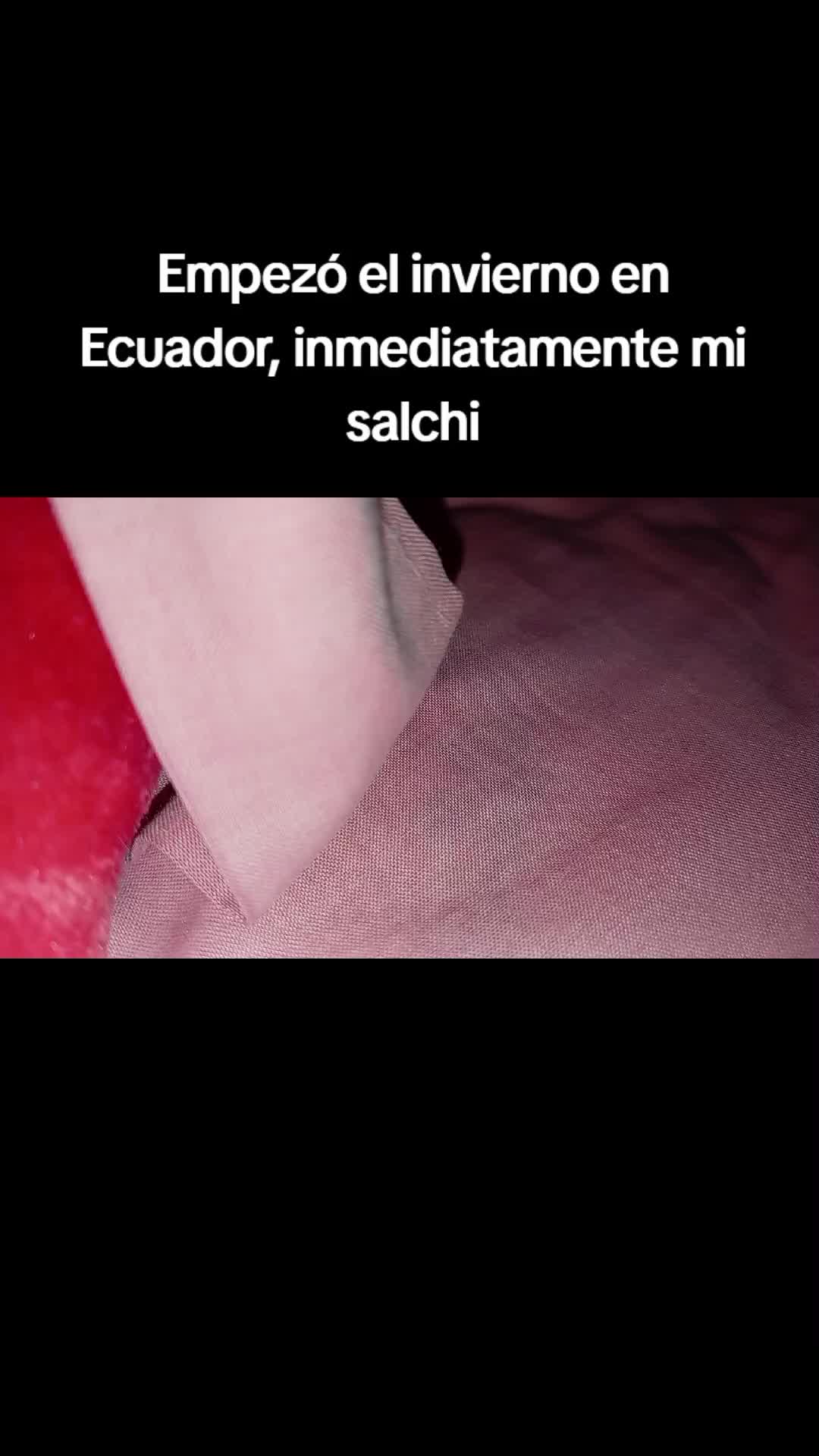 @Erika Nicol 🐻💝