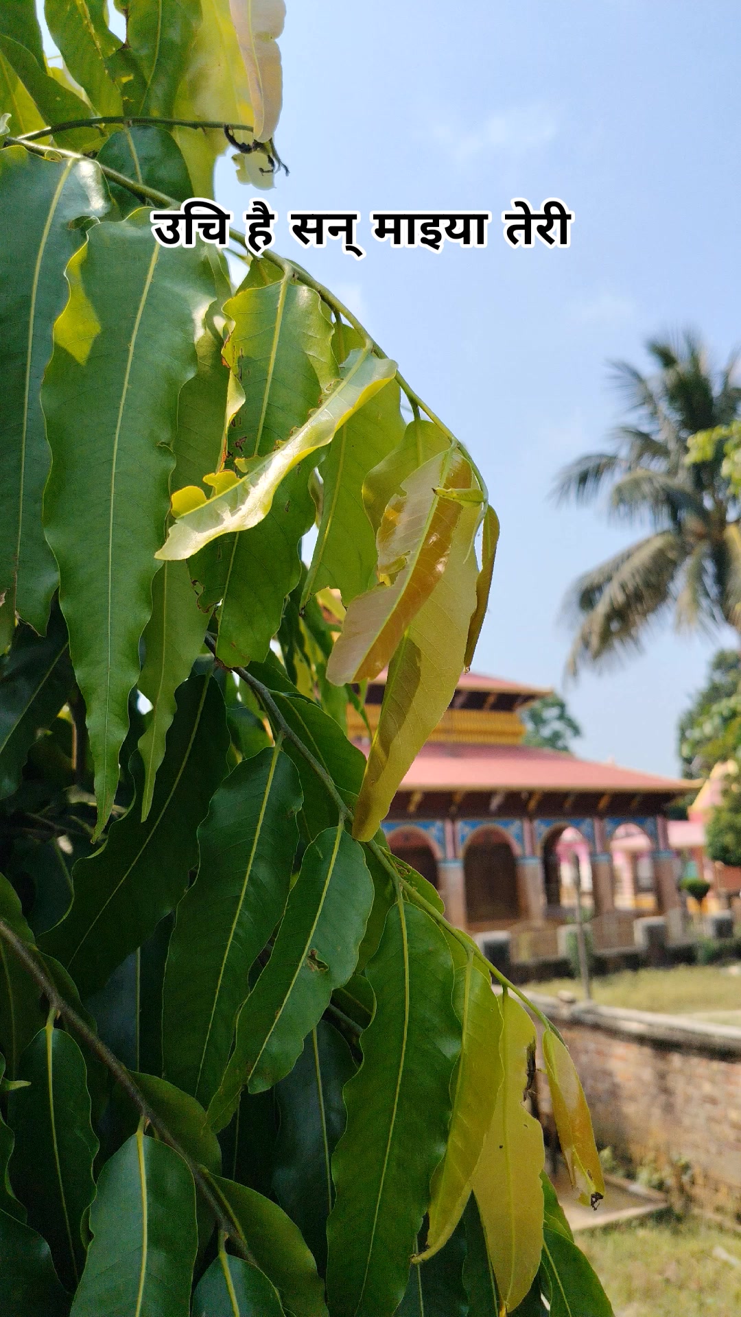 @कंकालनी भगवती