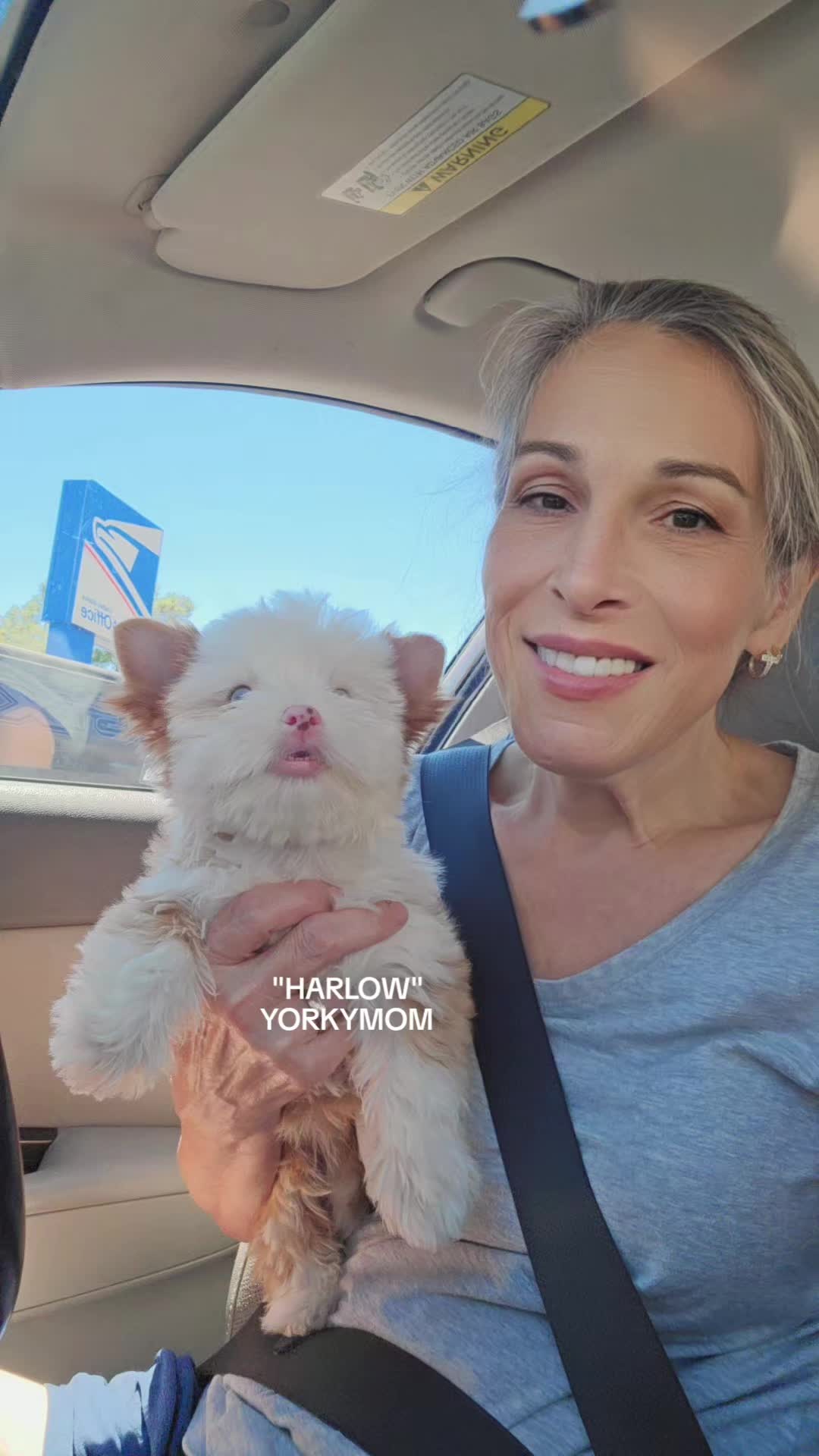 @theYorkymom