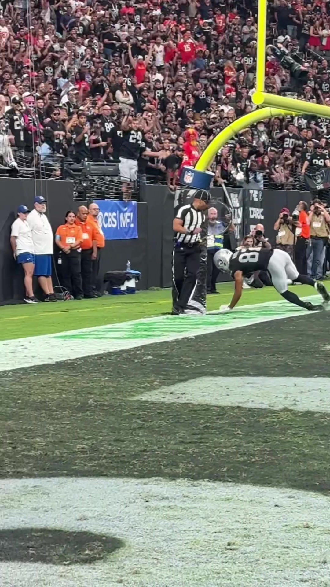 @Las Vegas Raiders