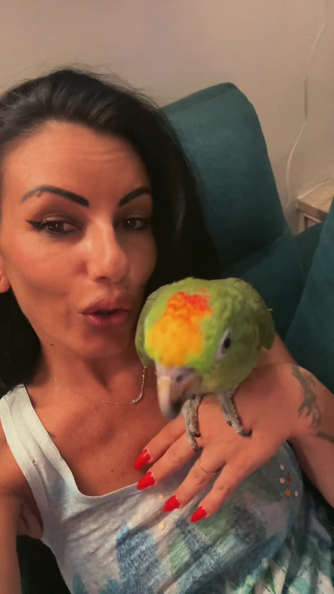 @_Dina_Cardone_