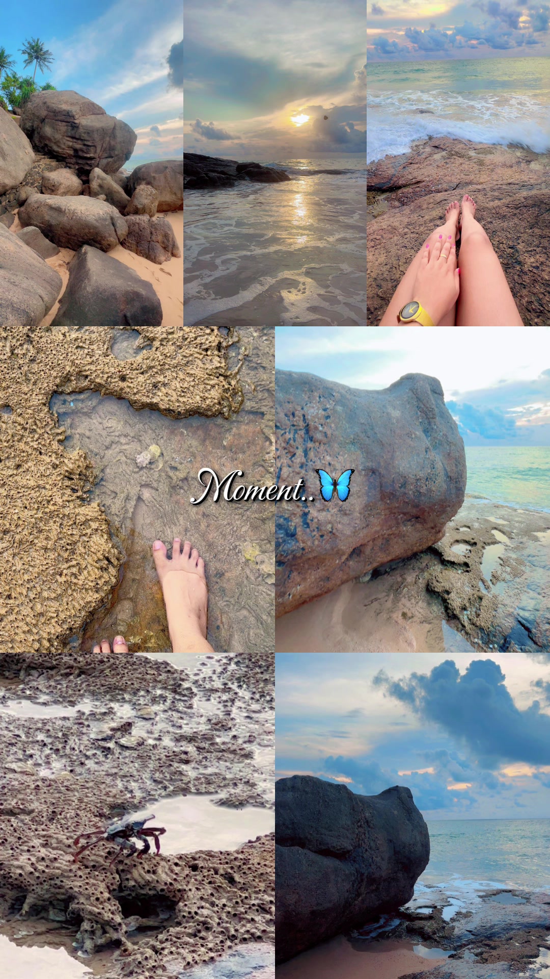 @🦋 පොඩි සෙව්වා 🦋