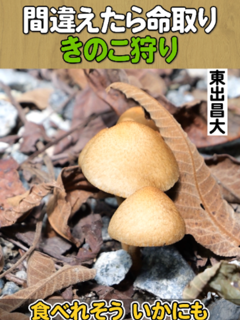 @東出昌大