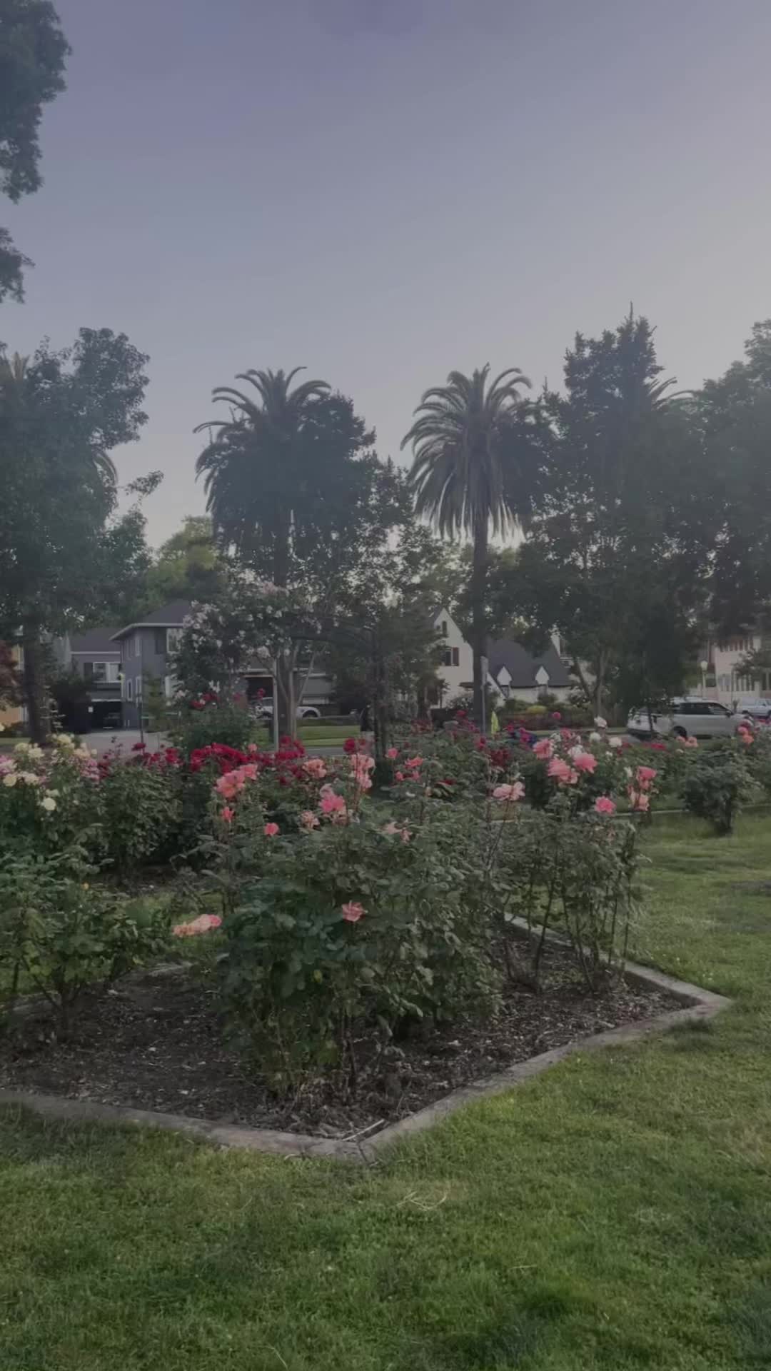 @💚
