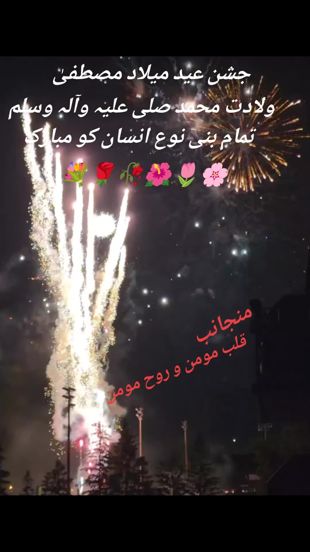 @💙💚Qalb e Momin💙💚