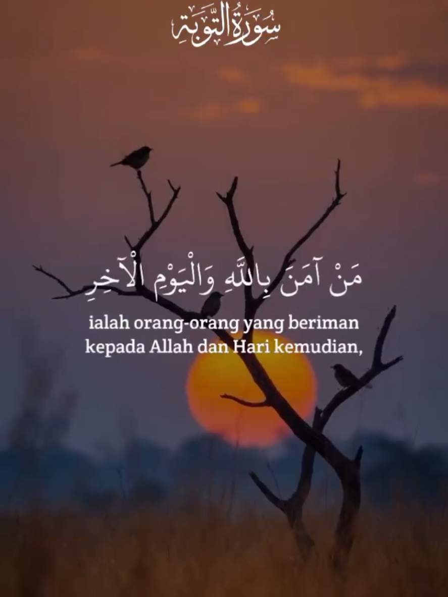 @Tulisan Cantik
