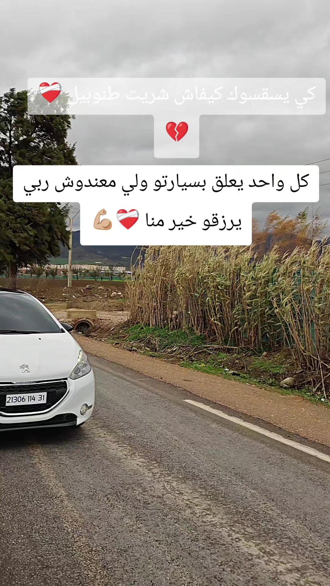 @Hmida Atou 208