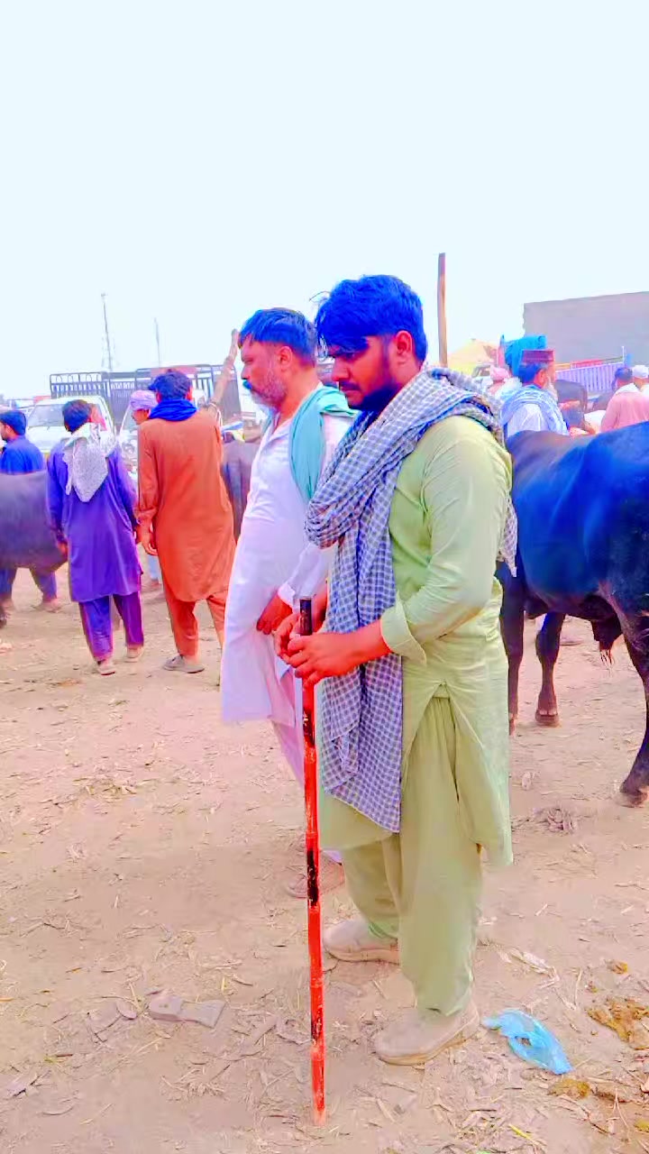 @farooqabbas517