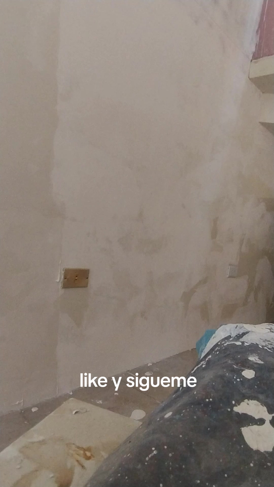 @albañiles de Puebla y pintores