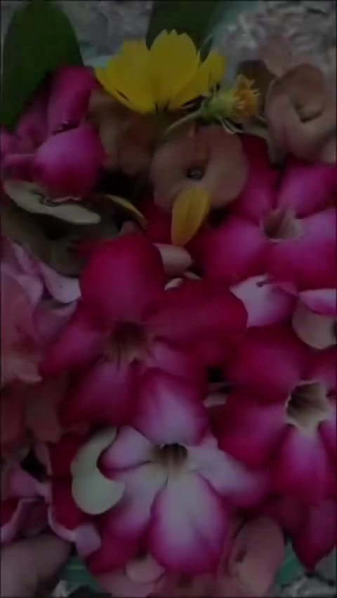 @R.RESTU