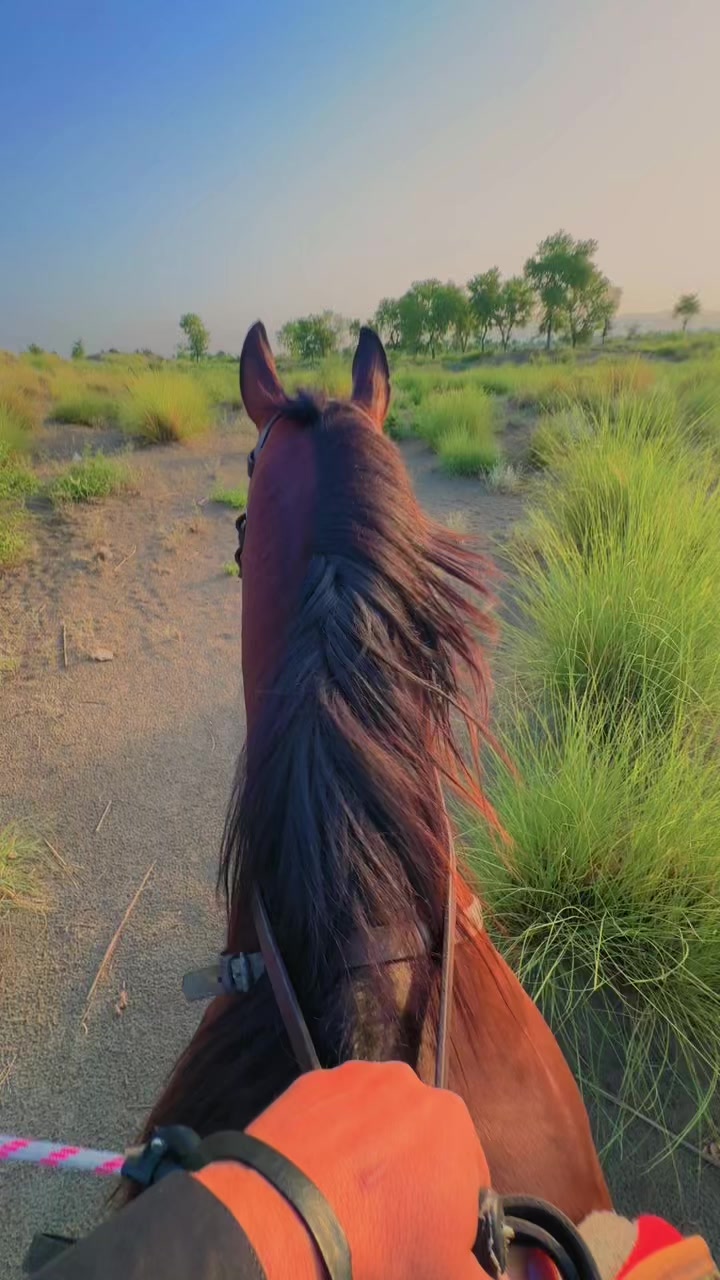 @AsadRehmanRokhri
