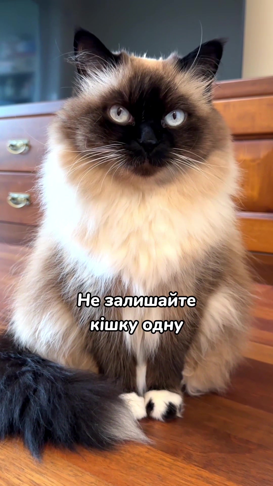 @Місс КІСЯ