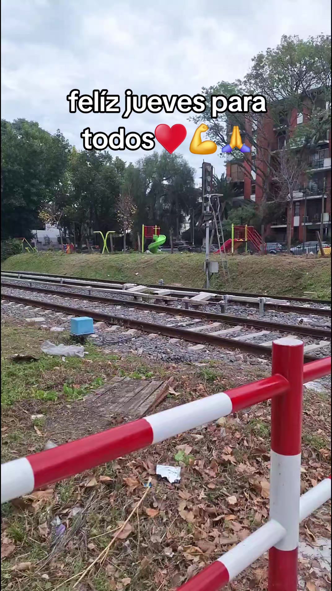 @Carmen Huayama