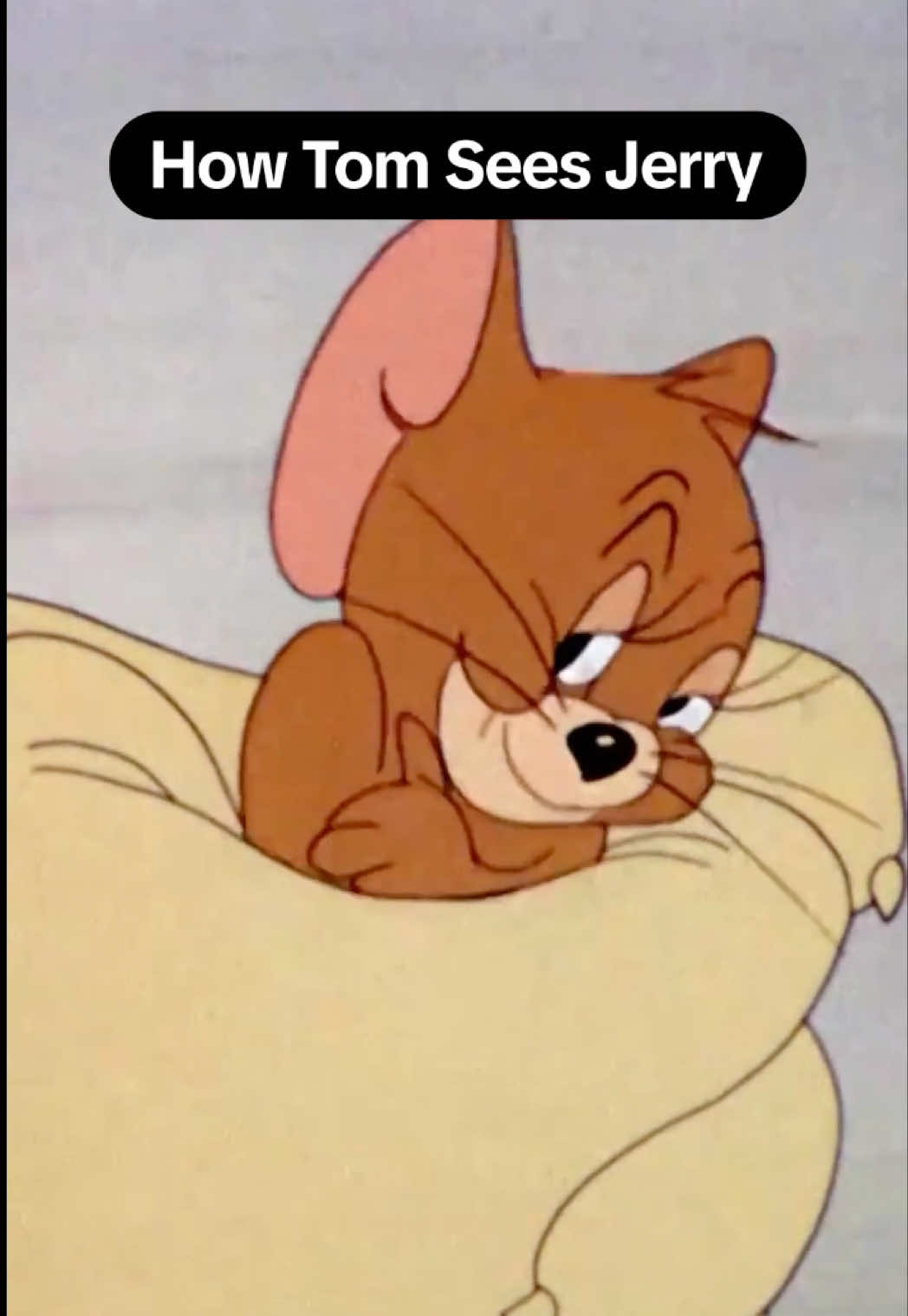@Tom and Jerry