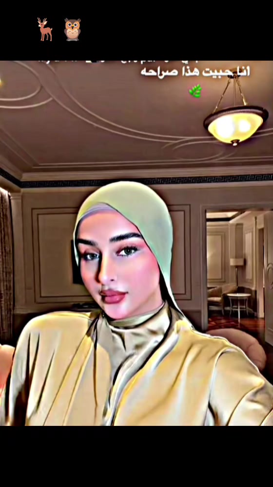 @NE HAL🕊