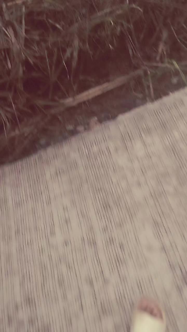 @jay