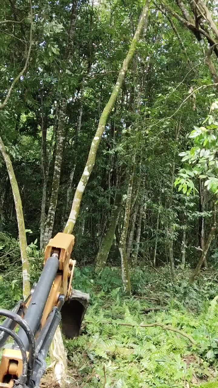 @AmirGarcia69🇲🇾🐂🐐