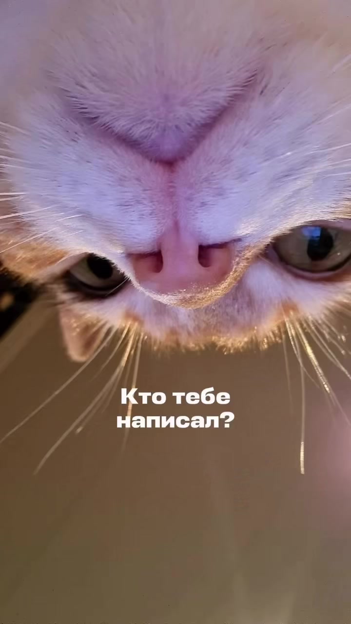 @Александр