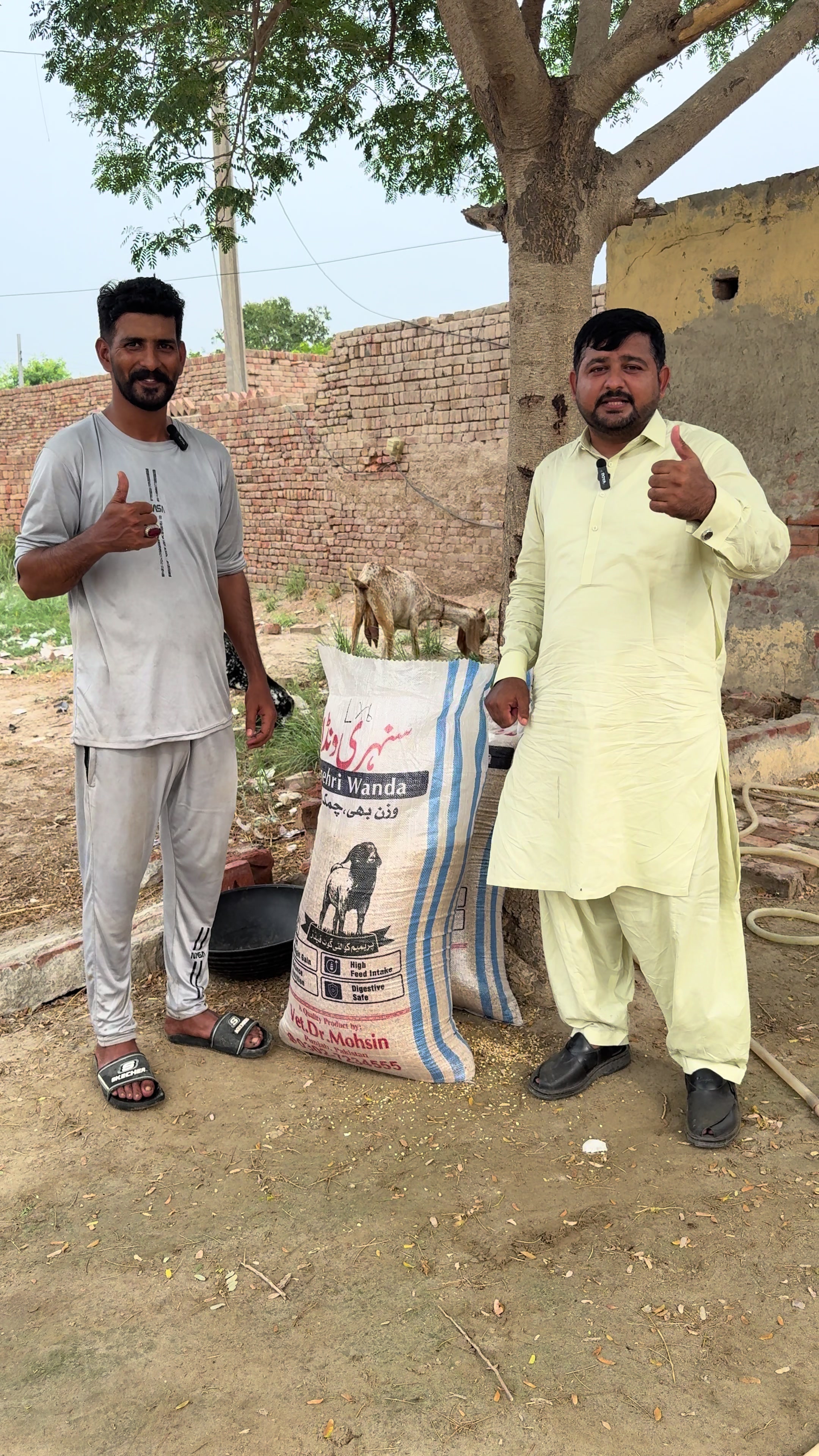 @Dr.Mohsin
