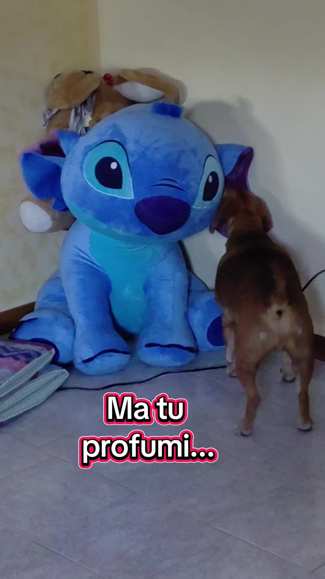 @Benjitoitaliano20