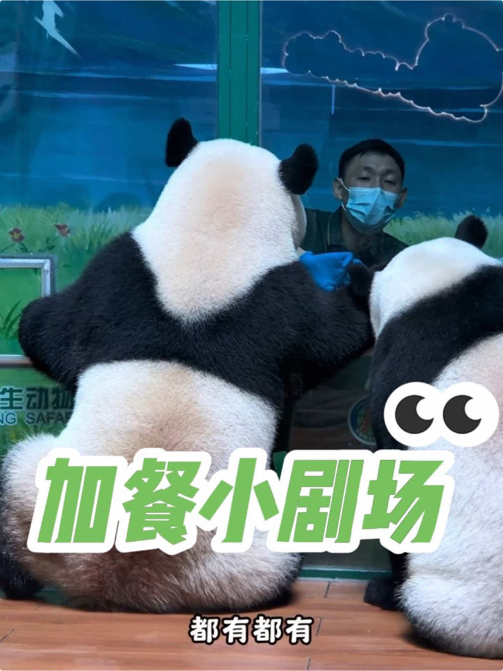 @熊猫妹珠🐼