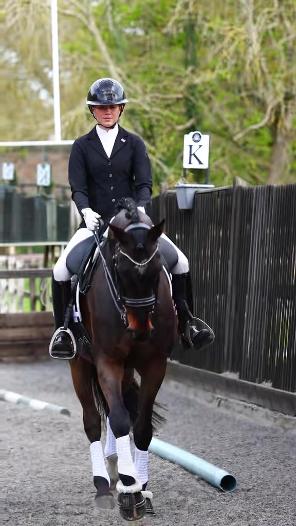 @LumiereEquestrian
