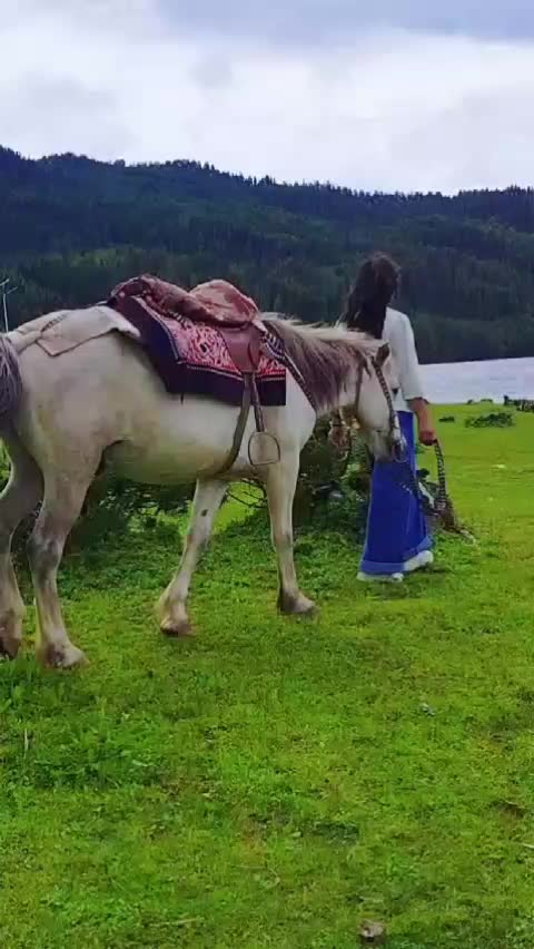 @Anjalilama