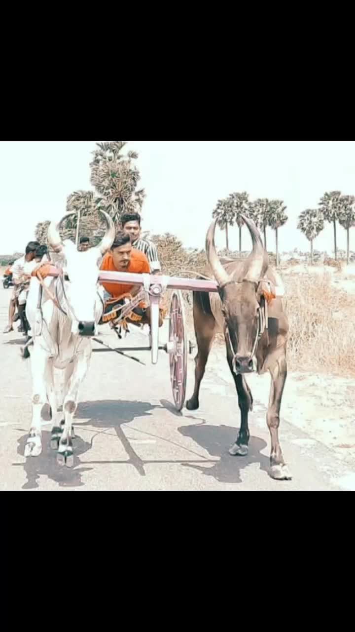 @Aksar Abdul Kader