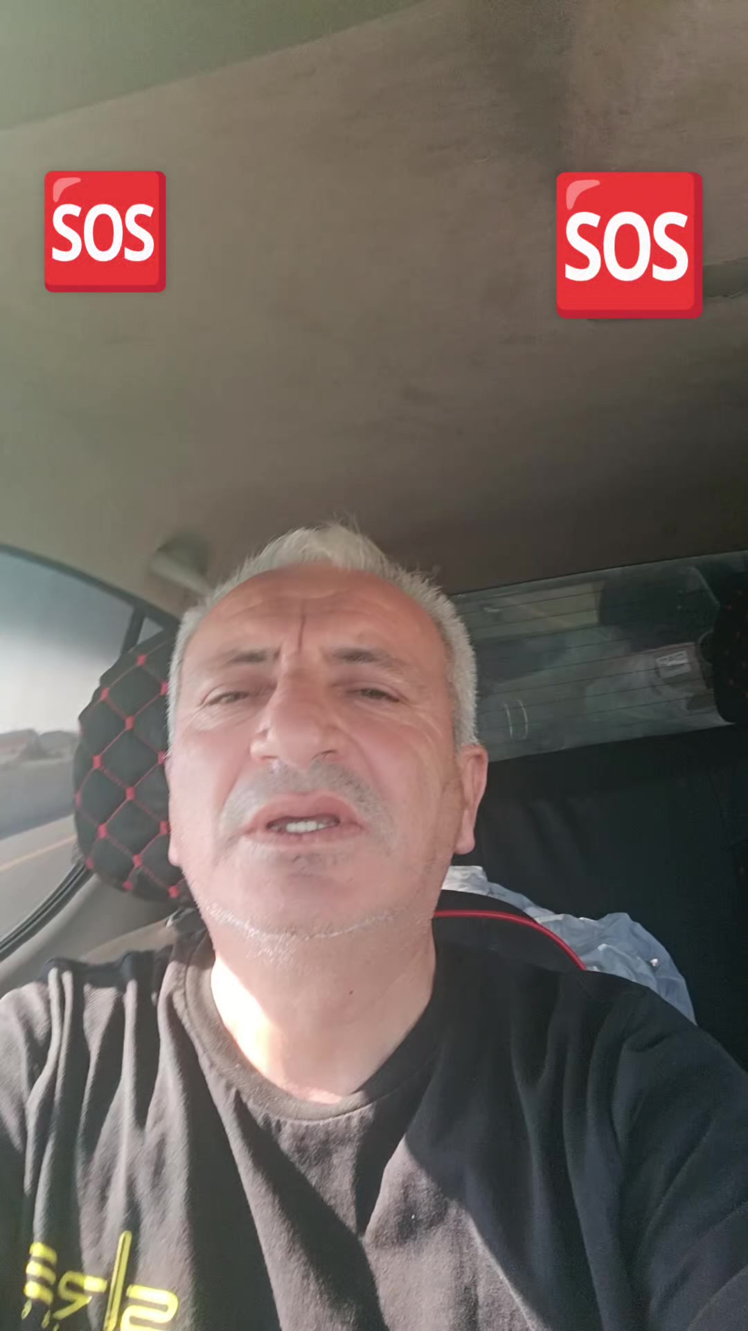@Sahibsiz heyvanlara dəstək
