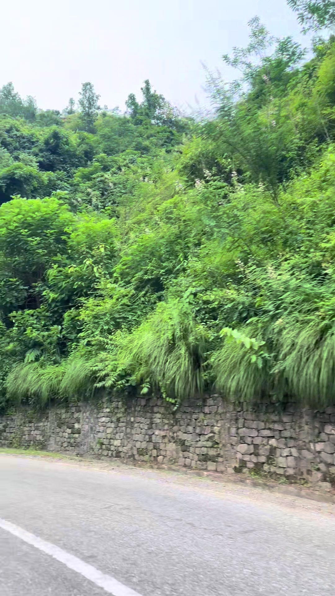 @𝓛𝓲𝓽𝓽𝓵𝓮 𝓚𝓻𝓲𝓼𝓱𝓷𝓪