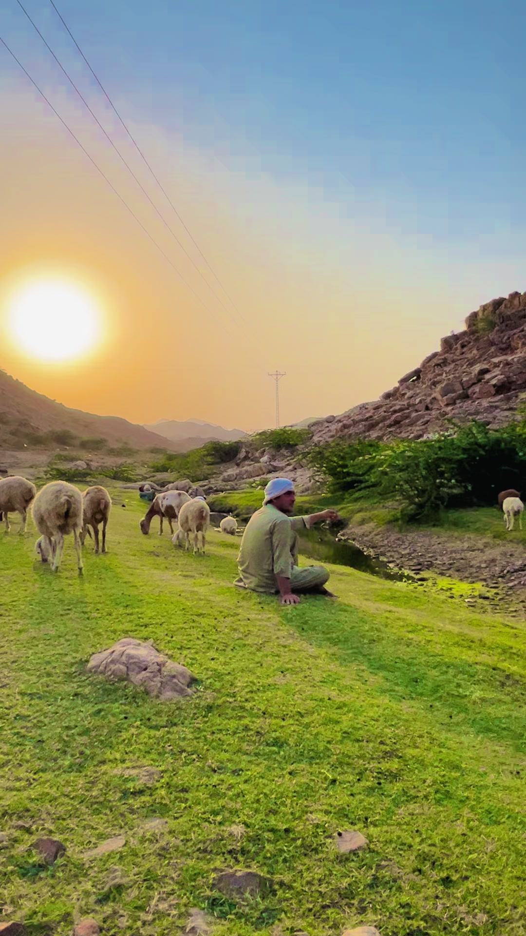 @Ayaz Pardesi
