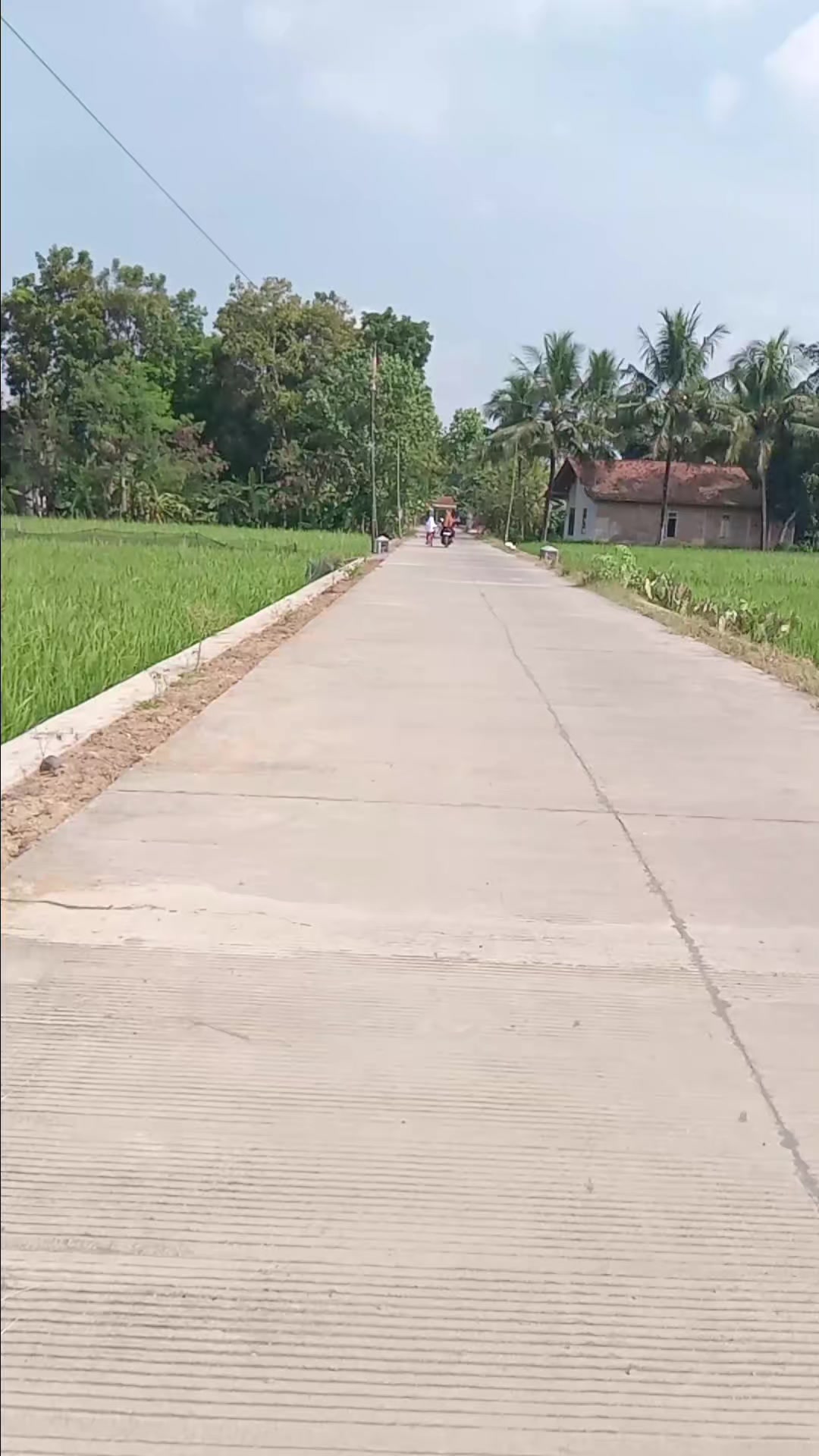 @ArifKingkong_