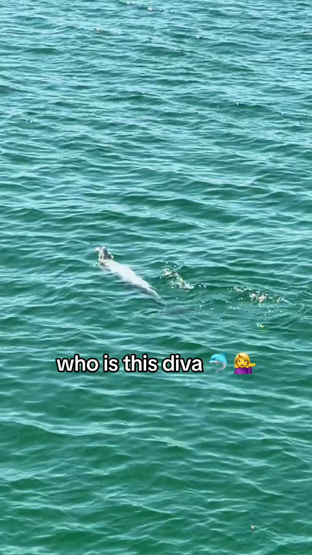 @Vivi 🩵