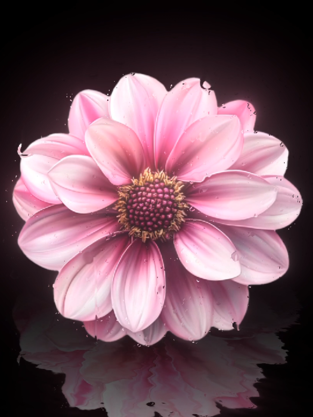 @𝐌𝐔𝐒𝐈𝐂 𝐌𝐄𝐃𝐄𝐑𝐎