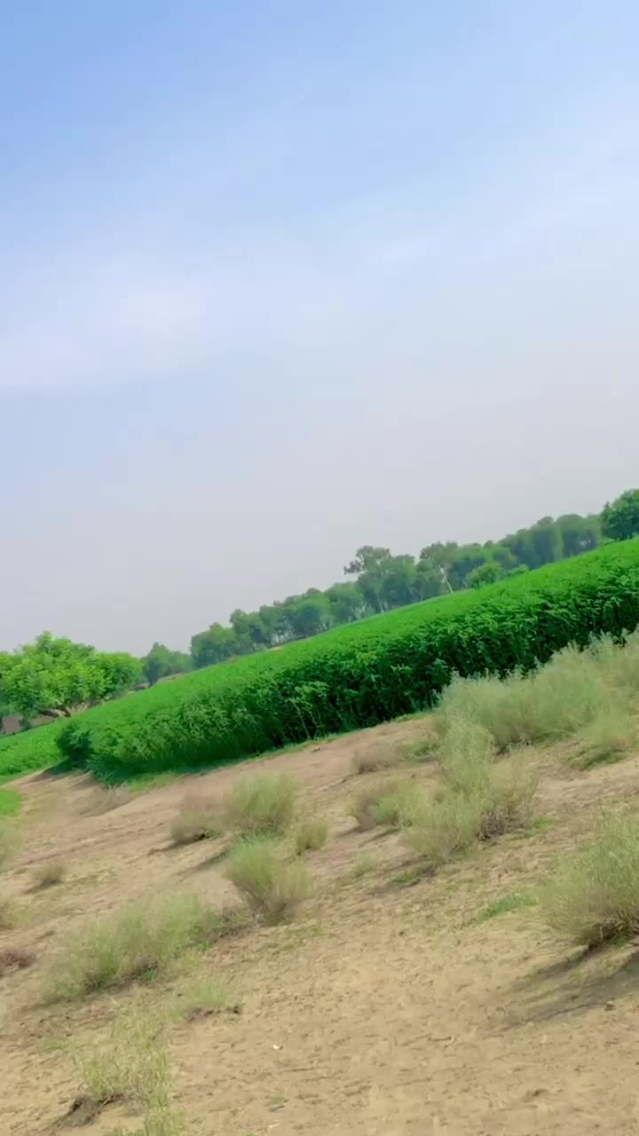 @rajveer 09