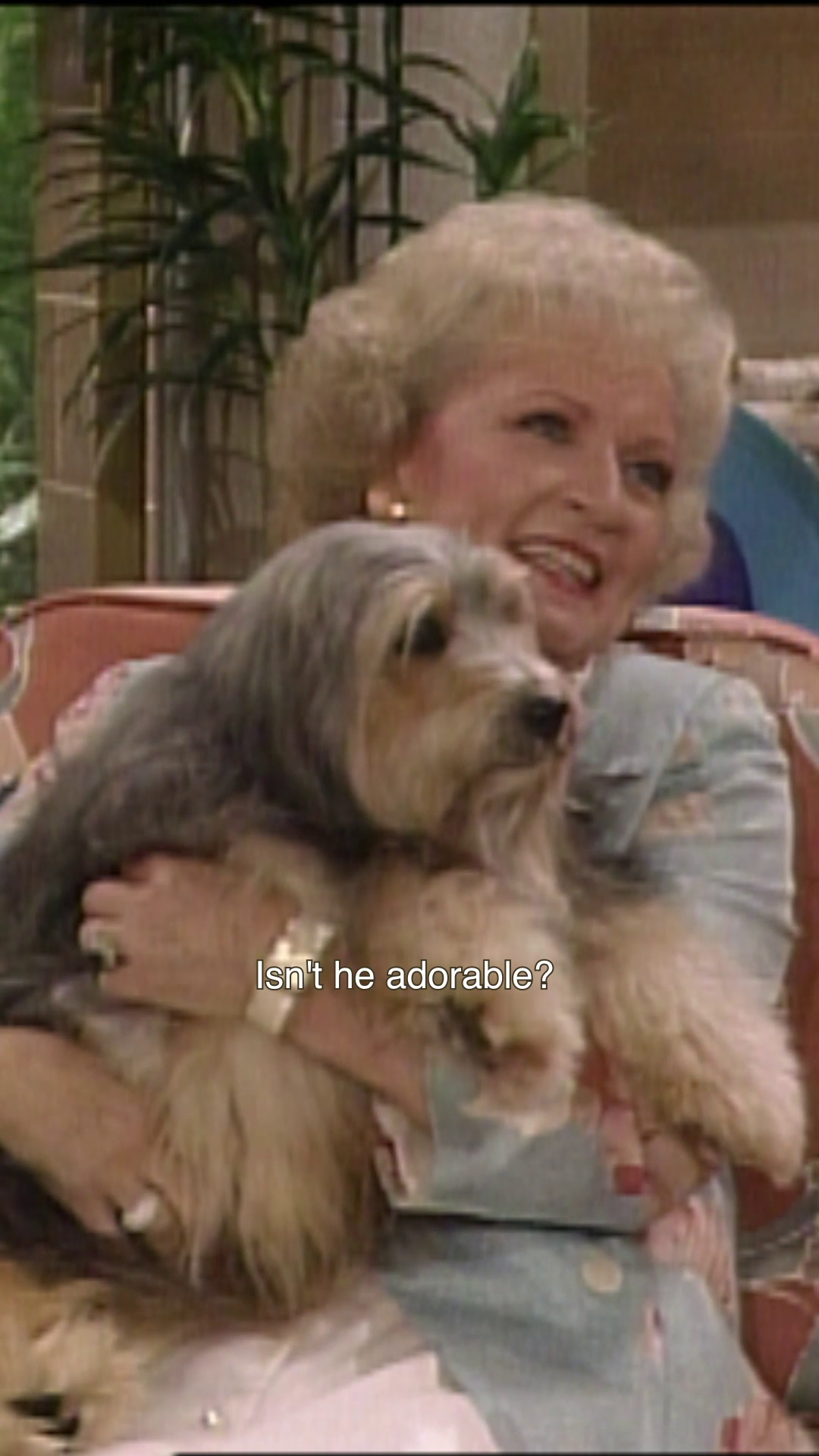 @Golden Girls