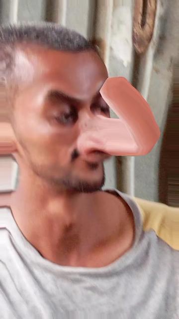 @333 Tiger
