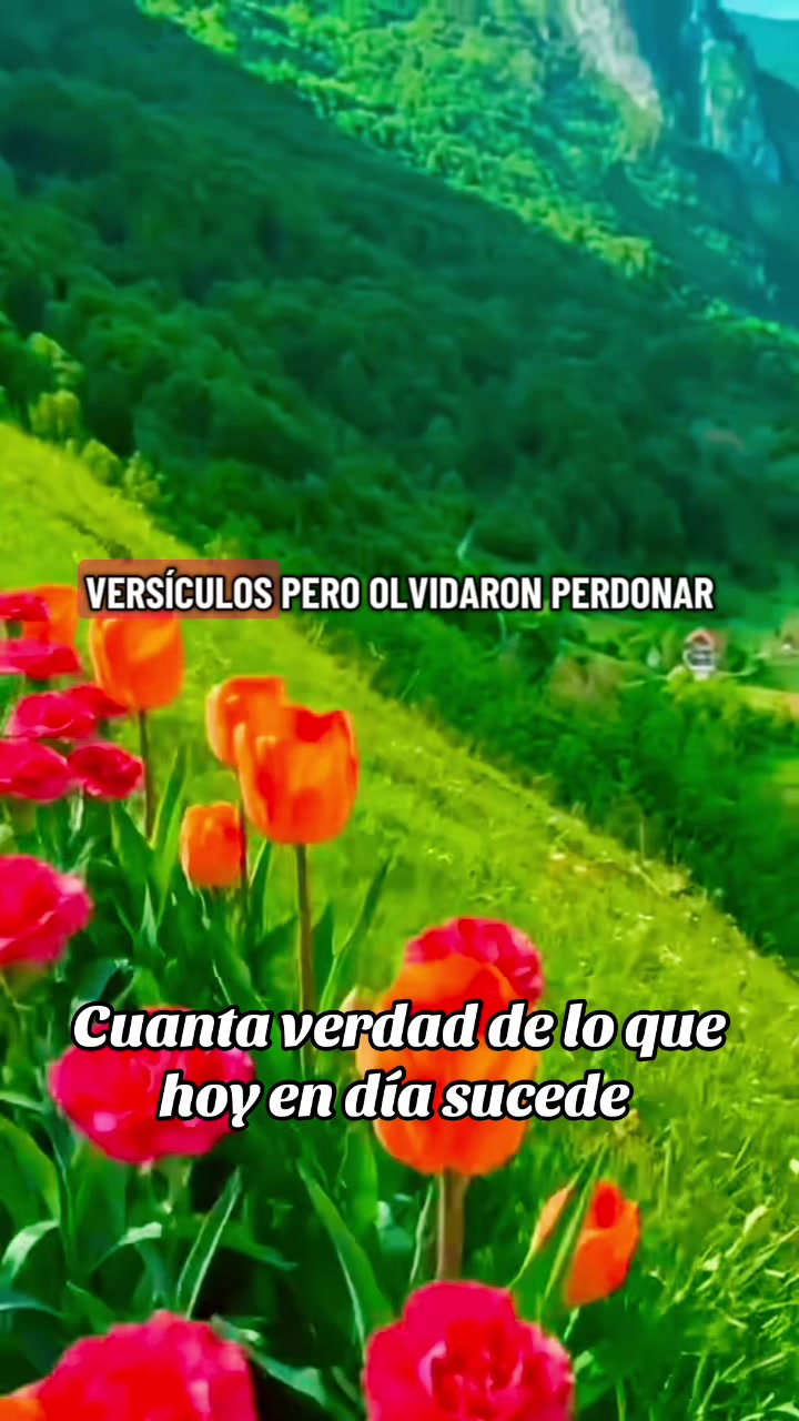 @🙌🏻🦋Sandra🙌🏻🦋