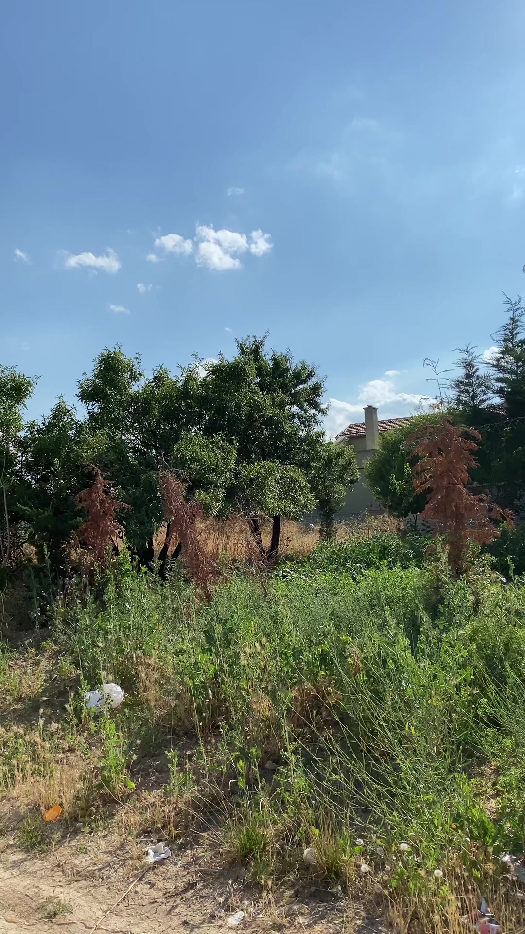 @sürekci.432