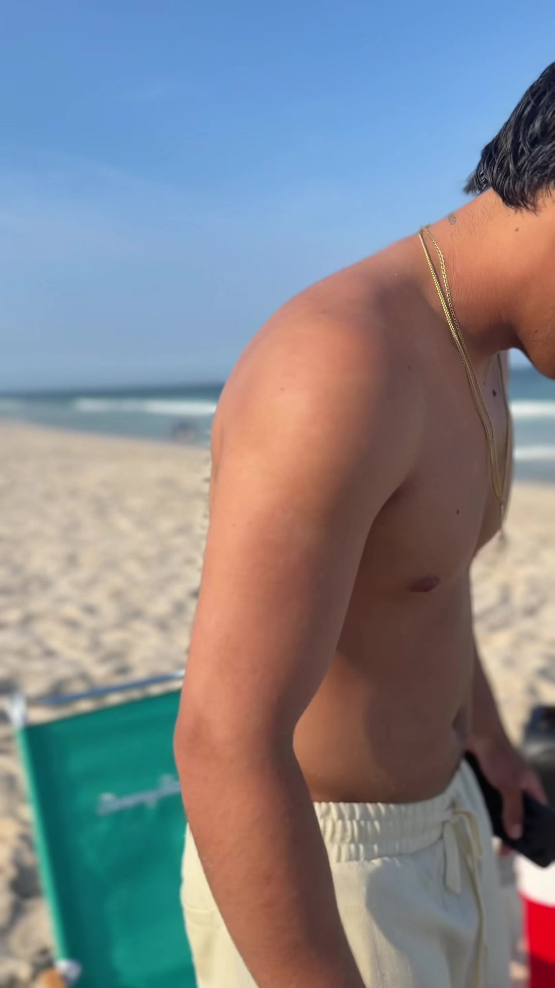 @oficial_stewart