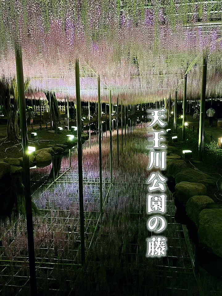 @夢夢0731