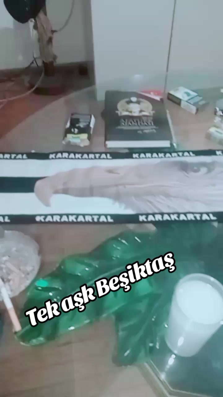 @isabodur.