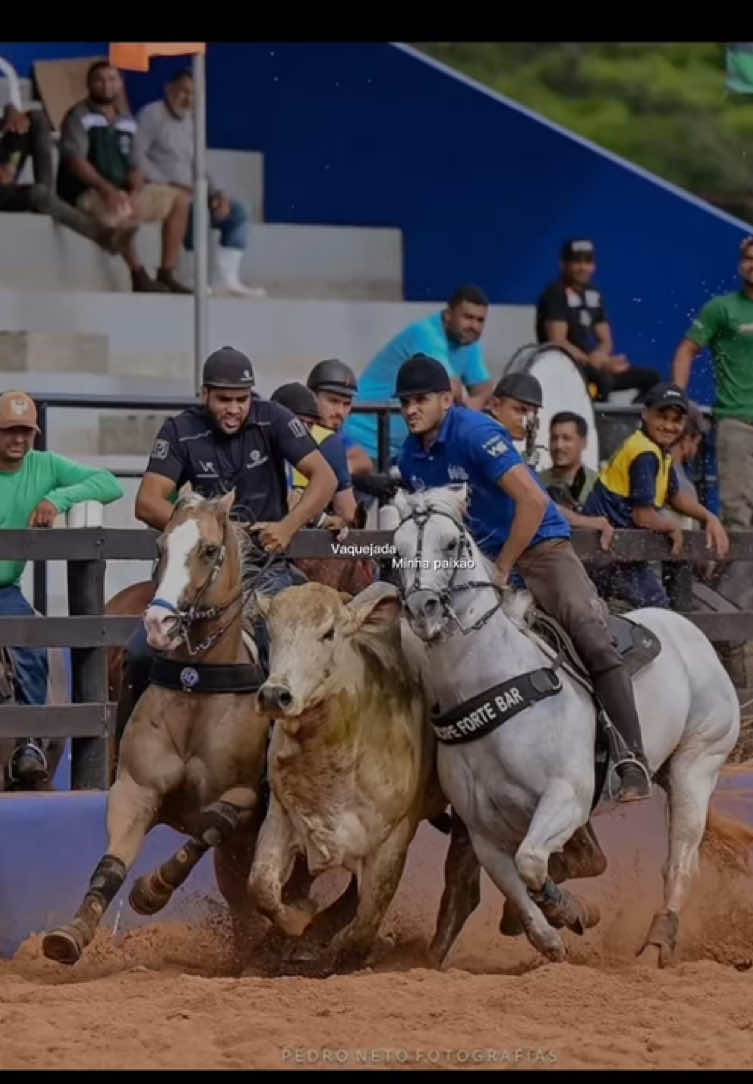 @forr&oacute; de vaquejada