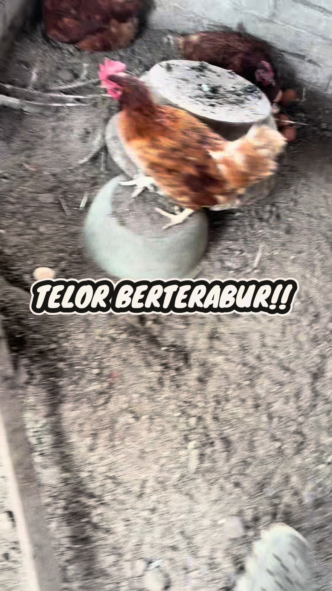 @Bio Sea Agriculture