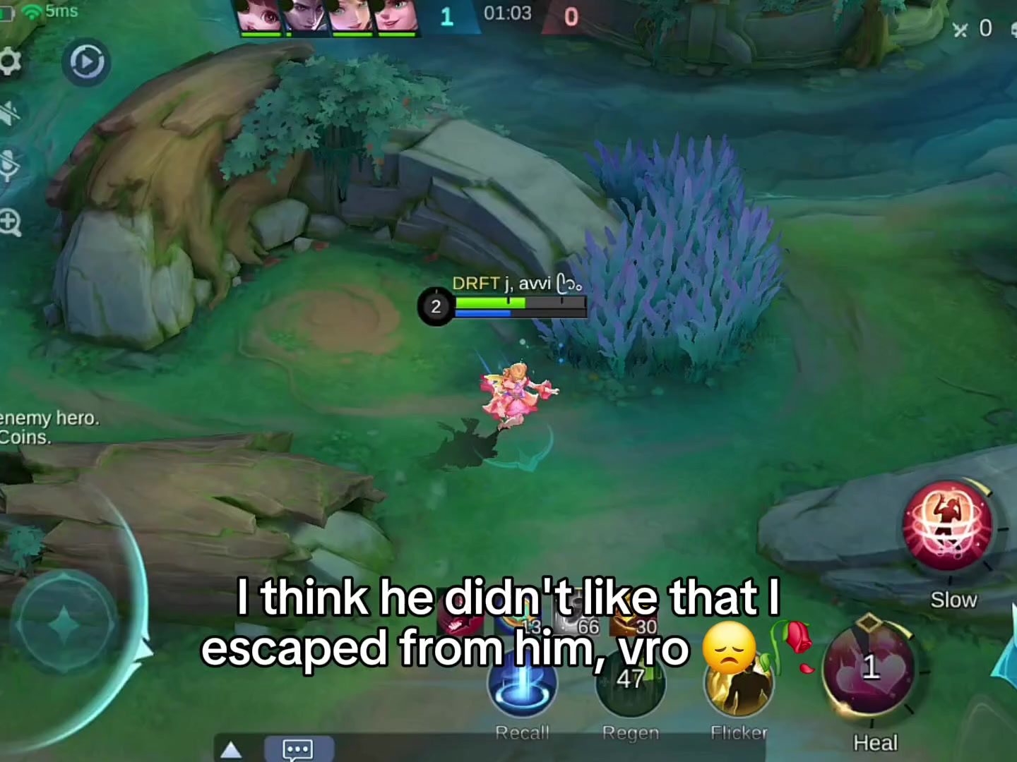 @maple