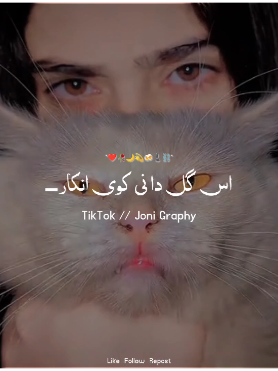 @°جونـــــی٘𓇢𓆸